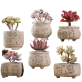 Outdoor Ceramic Pots | Set Of 6
